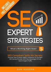 SEO Expert Strategies Book Cover